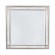 Leighton Beveled Mirror Metallic Mercury