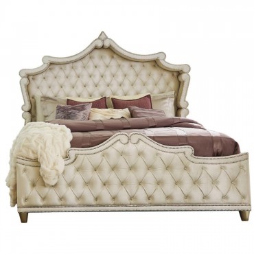 Antonella 5-piece Queen... 2