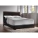 Conner Queen Upholstered Panel Bed Black and Dark Brown