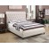 Devon Button Tufted Upholstered Queen Bed Beige