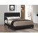 Muave Bed Upholstered Queen Black