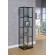 4-shelf Glass Curio Cabinet Black and Clear